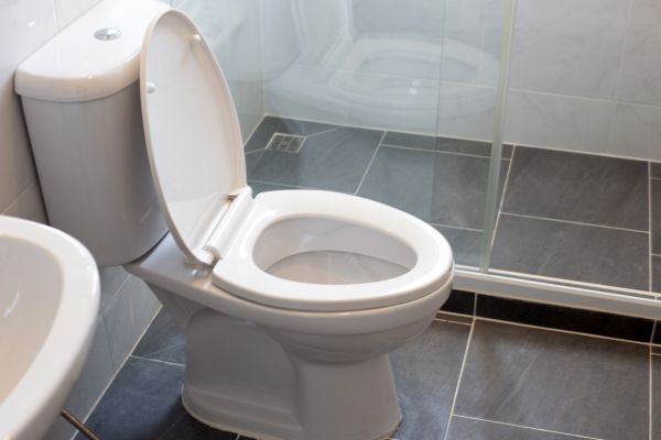 Toilet Replacement in Gilroy