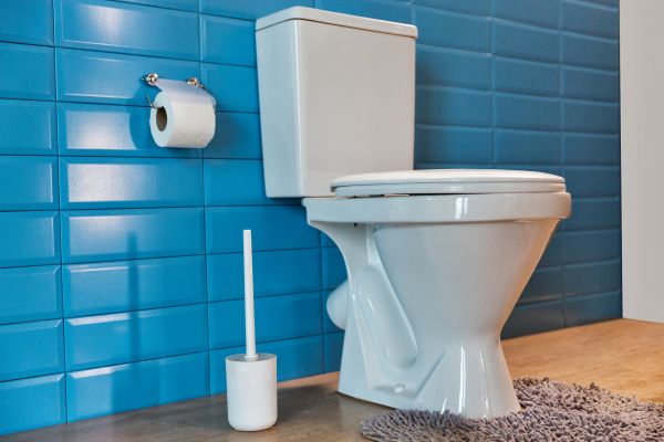 Toilet Tank Repair in Gilroy